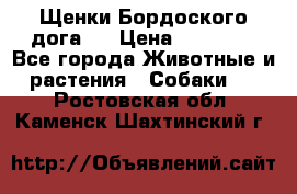 Щенки Бордоского дога.  › Цена ­ 30 000 - Все города Животные и растения » Собаки   . Ростовская обл.,Каменск-Шахтинский г.